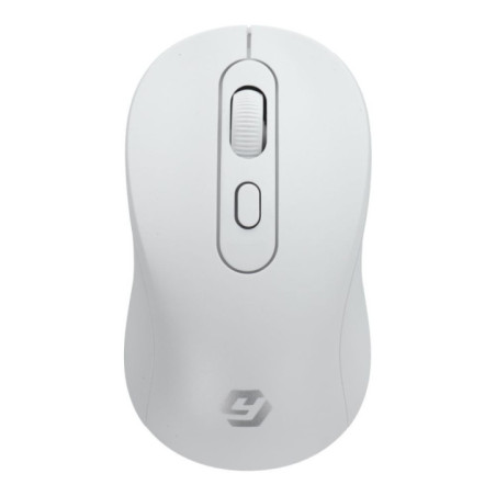 Wireless computer mouse R512B white