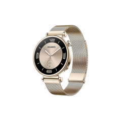 Watch Huawei Watch GT4 41mm (Aurora-B19M) - Gold