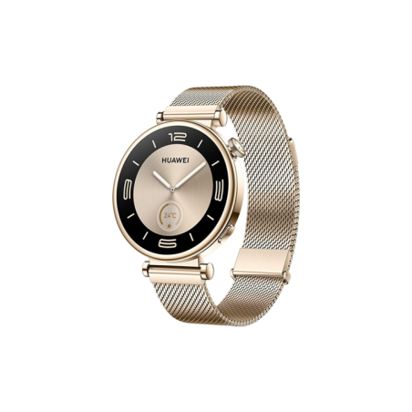 Watch Huawei Watch GT4 41mm (Aurora-B19M) - Gold