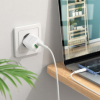 LADEGERÄT + KABEL USB-C 20W BOROFONE BN7