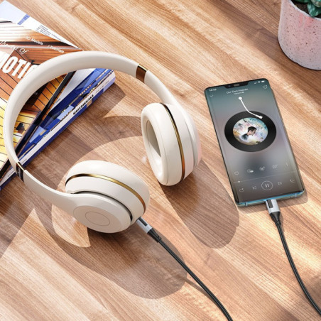 Audio Soundwire USB-C -- 3,5mm Borofone BL19 white 1m