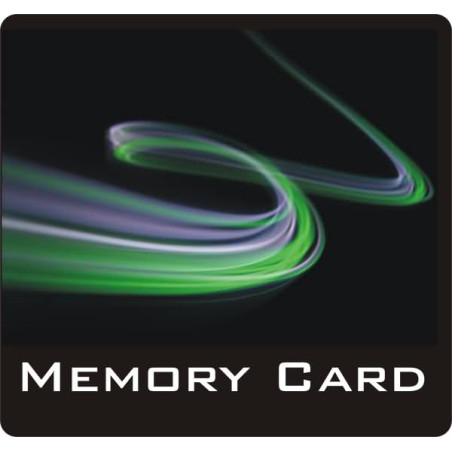 Speicherkarte Memory Stick Micro M2 1024 MB