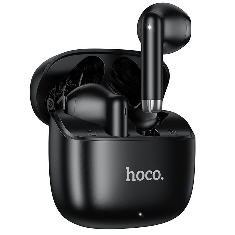 Wireless earphones Hoco EW205 black