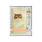 NIMMY set 2in1 notebook + pen BIG EYED PET 2.0 Cat khaki NIMMY set 2in1 notebook + pen BIG EYED PET 2.0 Cat khaki