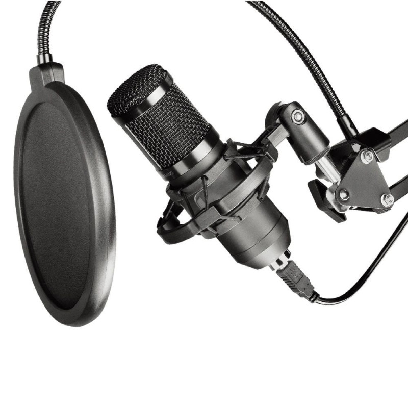 Condenser Microphone Art on a boom arm with membrane AC-03 black