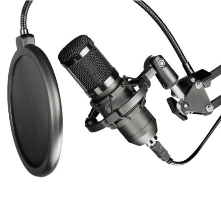 Condenser Microphone Art on a boom arm with membrane AC-03 black