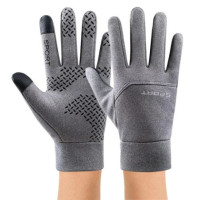 Touchscreen-Handschuhe gefüttert grau / Season 2024