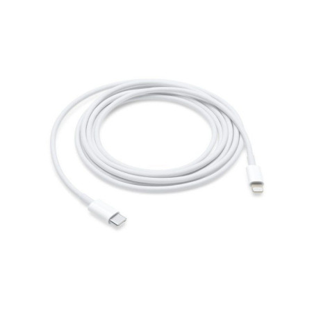 Apple original cable Type C to Lightning MUQ93ZM/A A2561 1 m white blister