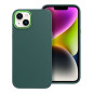 BACK-CASE FRAMED green für APPLE iPhone 13