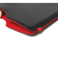 CASES
